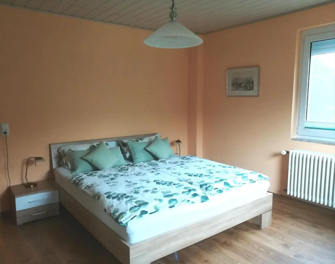 Appartamento Nichtraucherferienwohnung-Neckarblick Ze-2022-74-Wz-118A Heidelberg